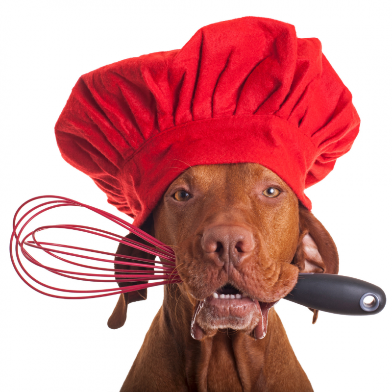 Dog with chef hat, New Year, New Dog: How To Include Your Pup In Your 2022 Resolutions