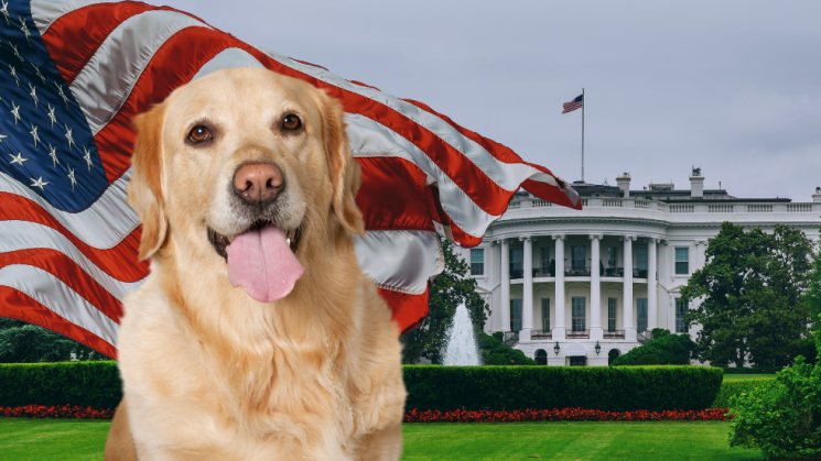 presidential pups