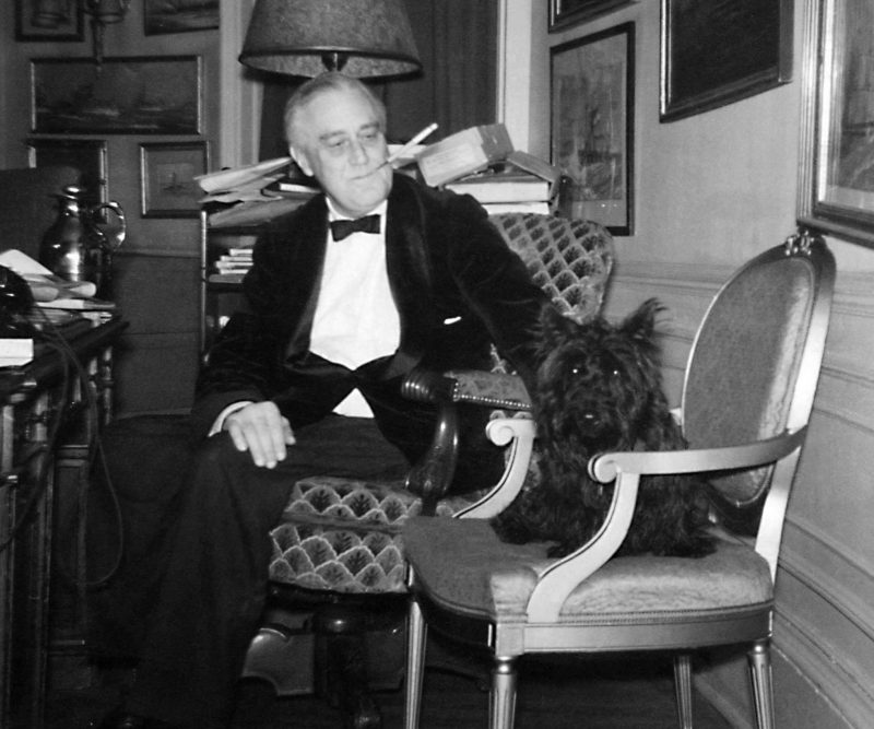 FDR and his pet dog