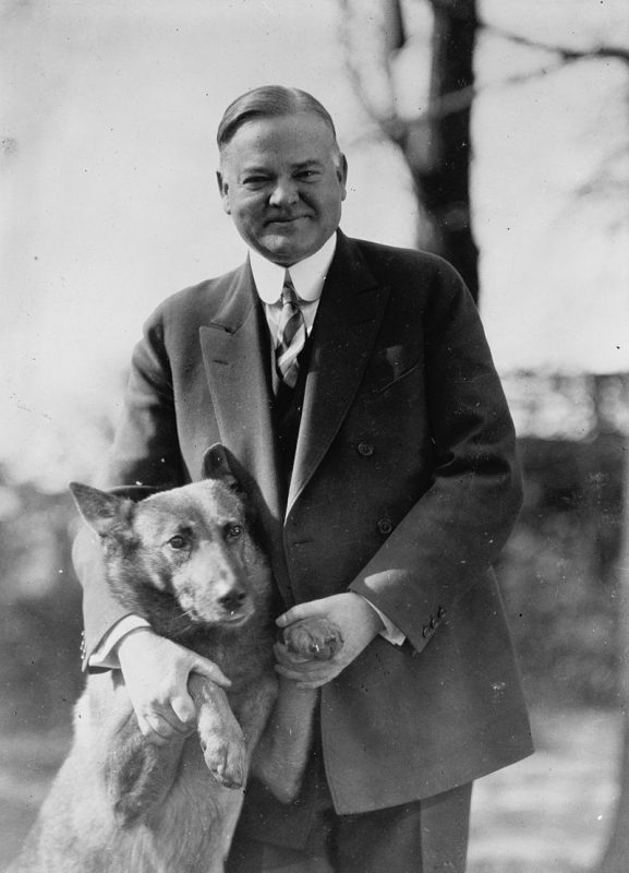 5 Presidential Pups And Their Stories!