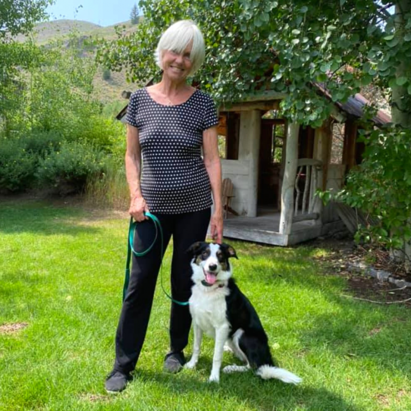 Border Collie