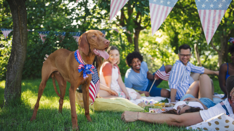 dog and people at fourth of july celebration