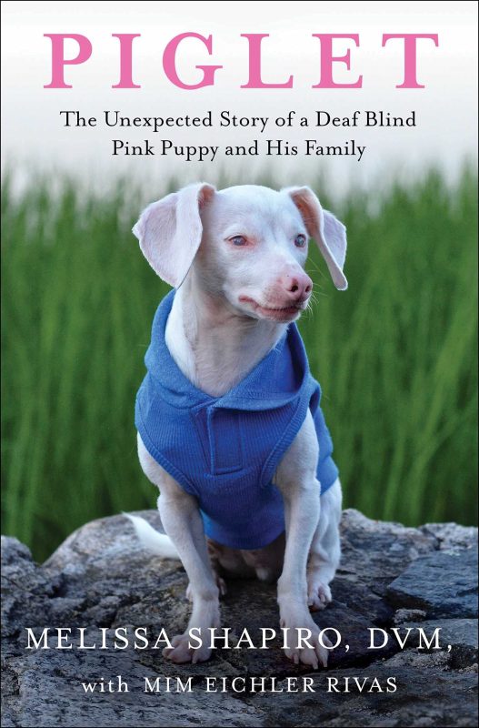 cover of the book piglet by melissa shapiro