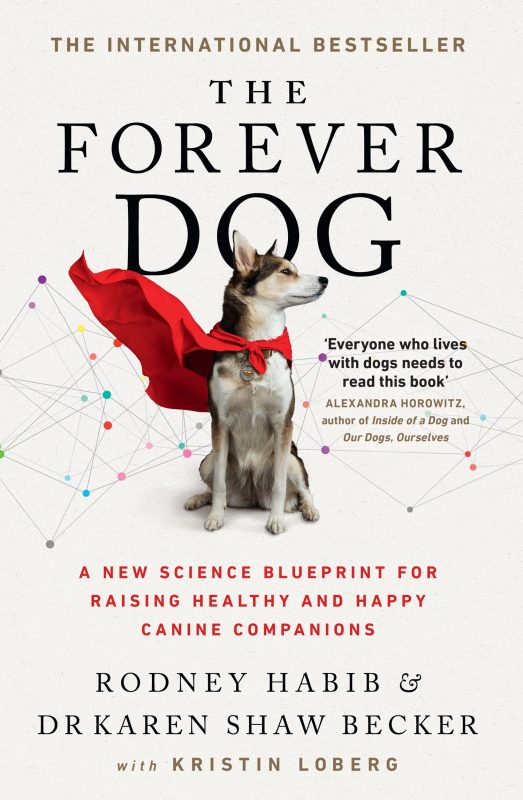 the forever dog by rodney Haib cover