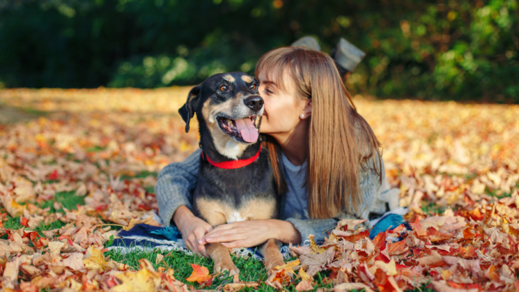 Mixed breed dog with woman in yard with leaves