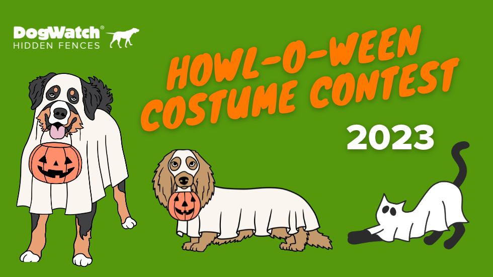 https://dogtails.dogwatch.com/wp-content/uploads/2023/10/Halloween-Contest-2023-Blog-Cover.png